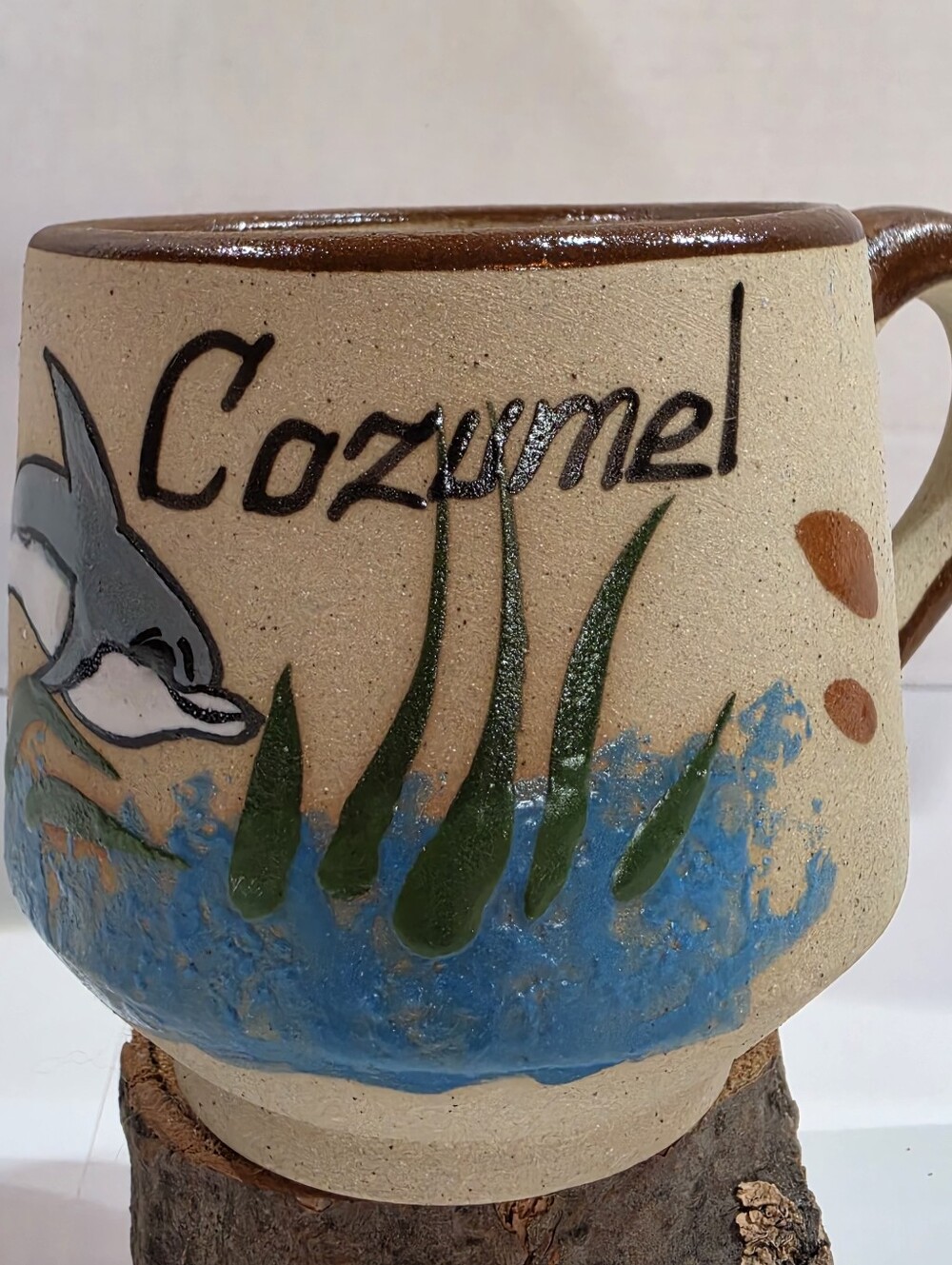 Cozumel Ceramic Dolphin Mug - Handpainted Beach Art